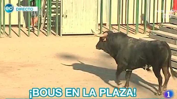 España Directo - España Directo - 27/06/14