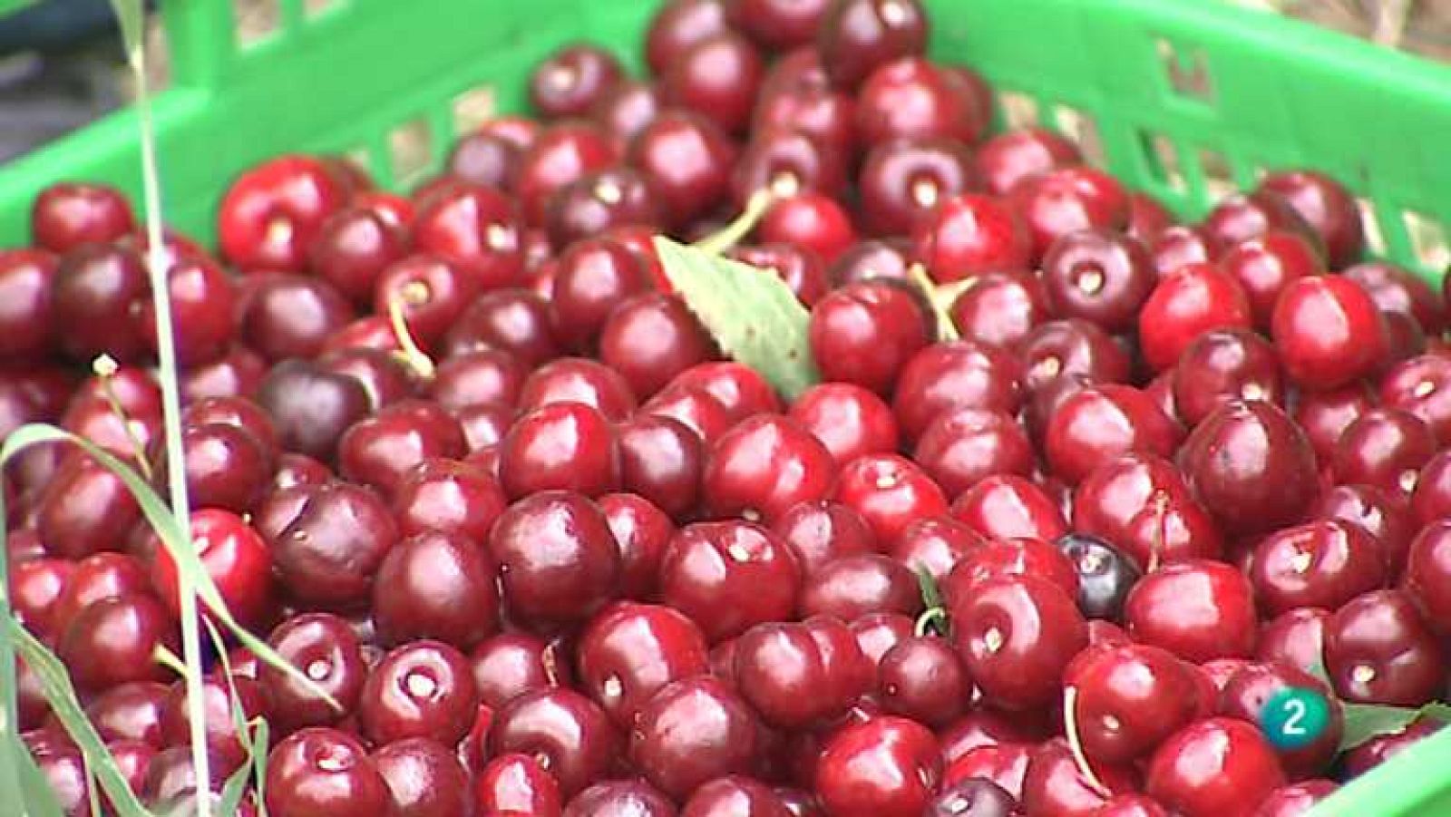 Agrosfera - 28/06/14 - ver ahora