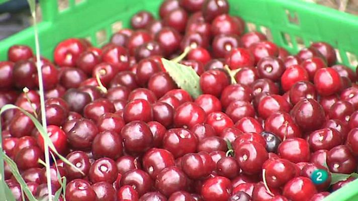 Agrosfera - Agrosfera - 28/06/14