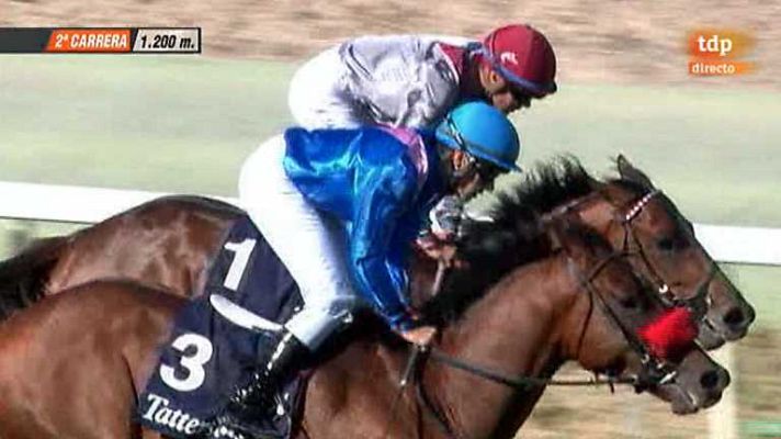 Turf - Turf - 29/06/14