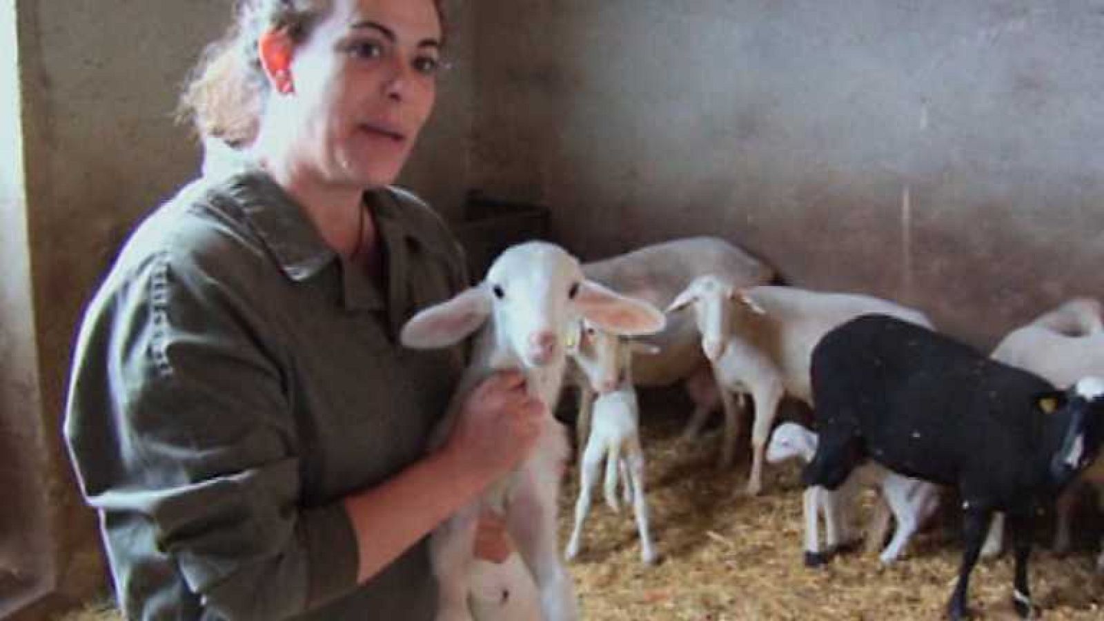 Aquí la Tierra - 30/06/14 - ver ahora