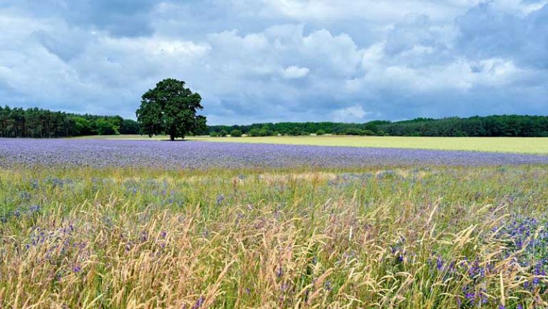 Temperaturas diurnas en ligero descenso en la mitad occidental peninsular