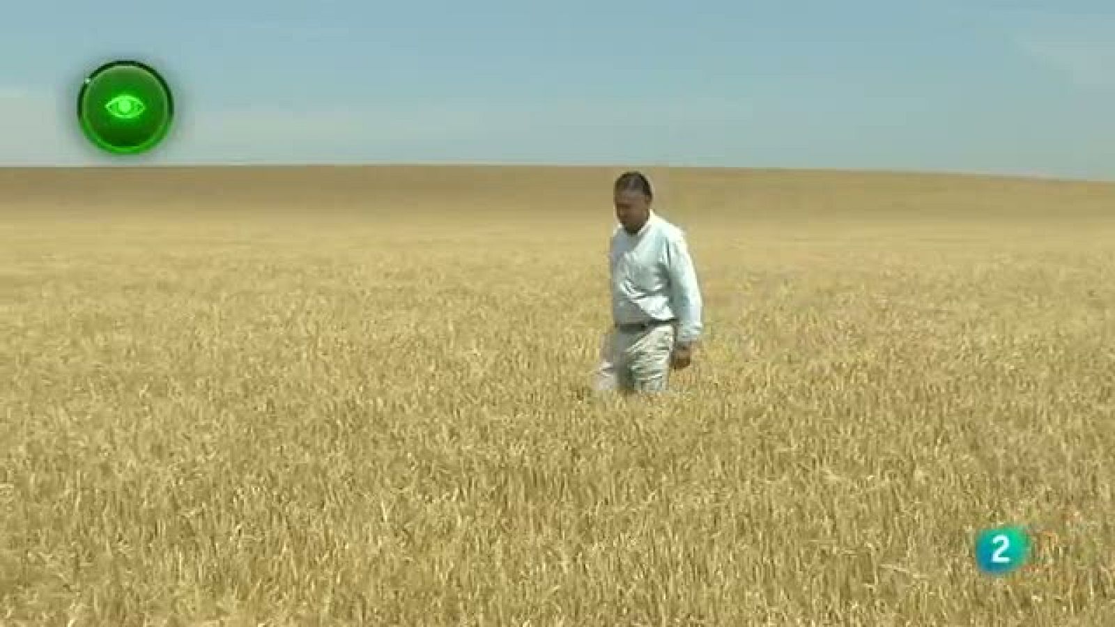 Agrosfera - En primer plano - Cebada cervecera