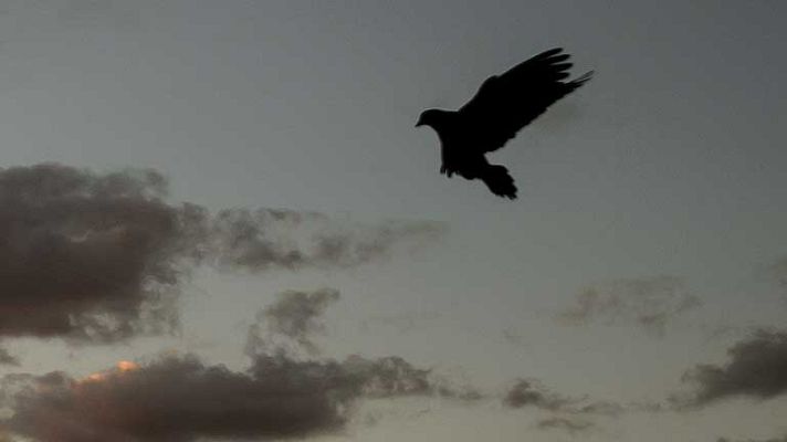 Informativo de Madrid - El Tiempo en la Comunidad de Madrid - 02/07/14