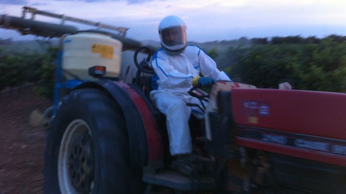 Aquí la Tierra - El noble arte de azufrar las viñas