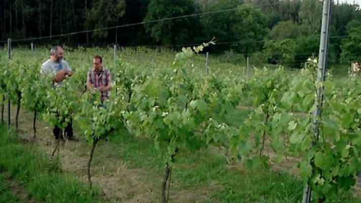 Aquí la Tierra - Aquí la Tierra - 02/07/14