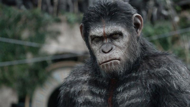 RTVE.es os ofrece, en primicia, el making of de 'El amanecer del planeta de los simios'
