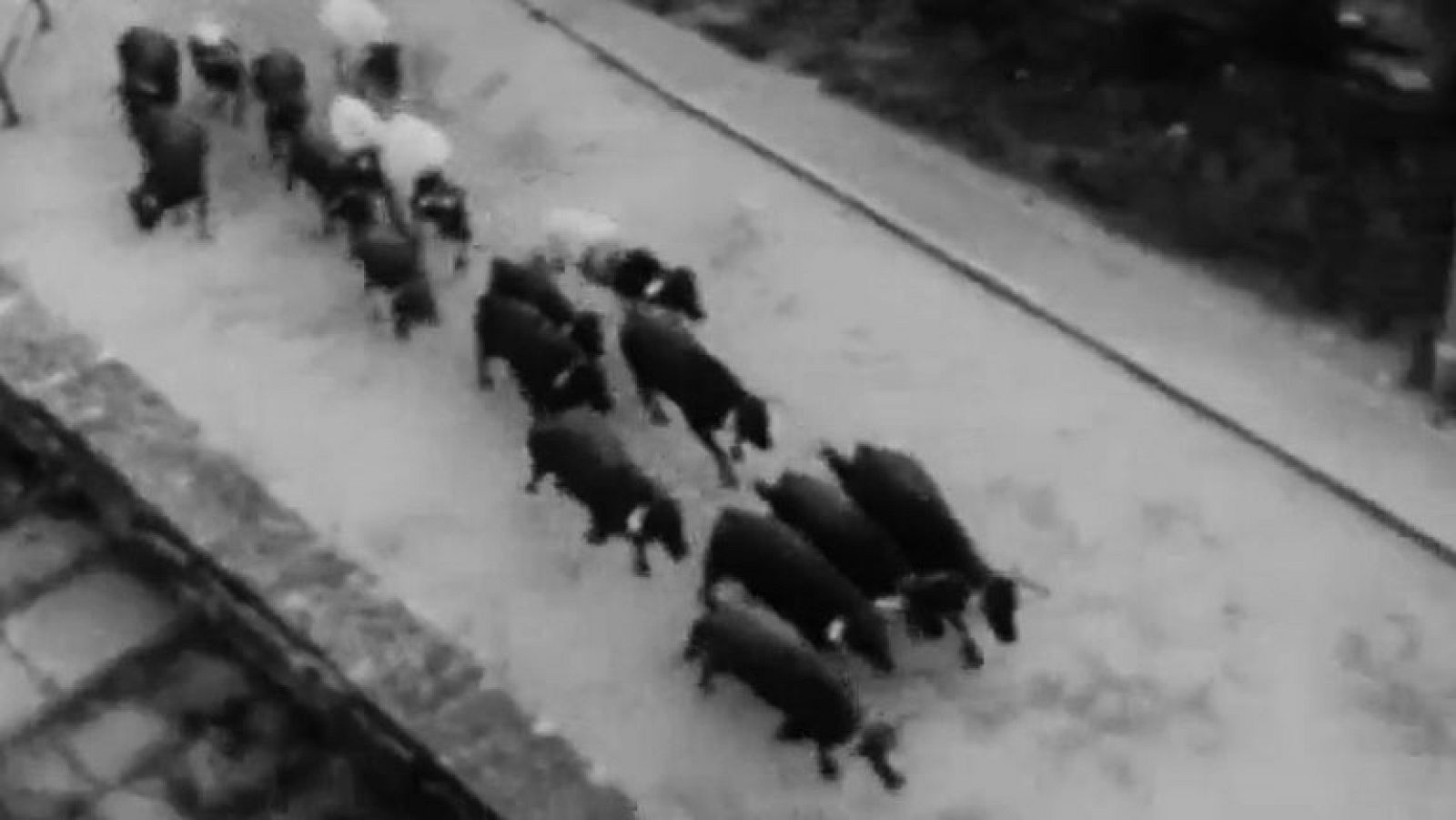 Fiesta - San Fermín