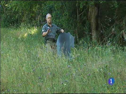 Panorama Regional - Panorama Regional 2 - 04/07/14