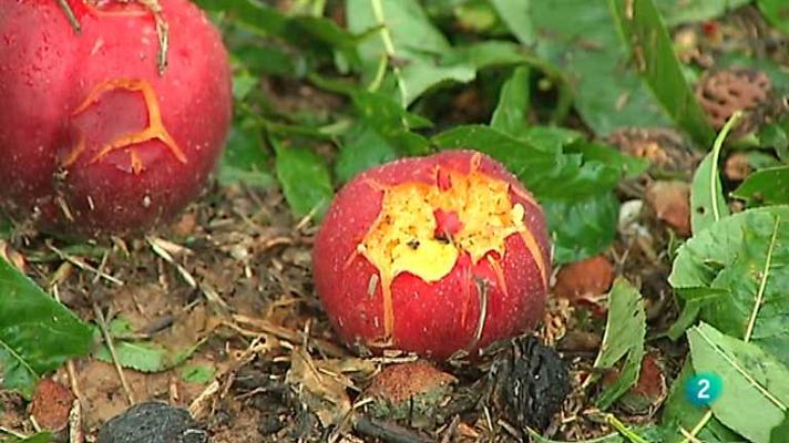 Agrosfera - Agrosfera - 05/07/14