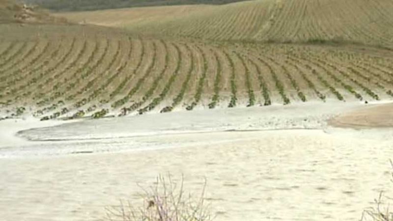 El granizo castiga al campo de toda España