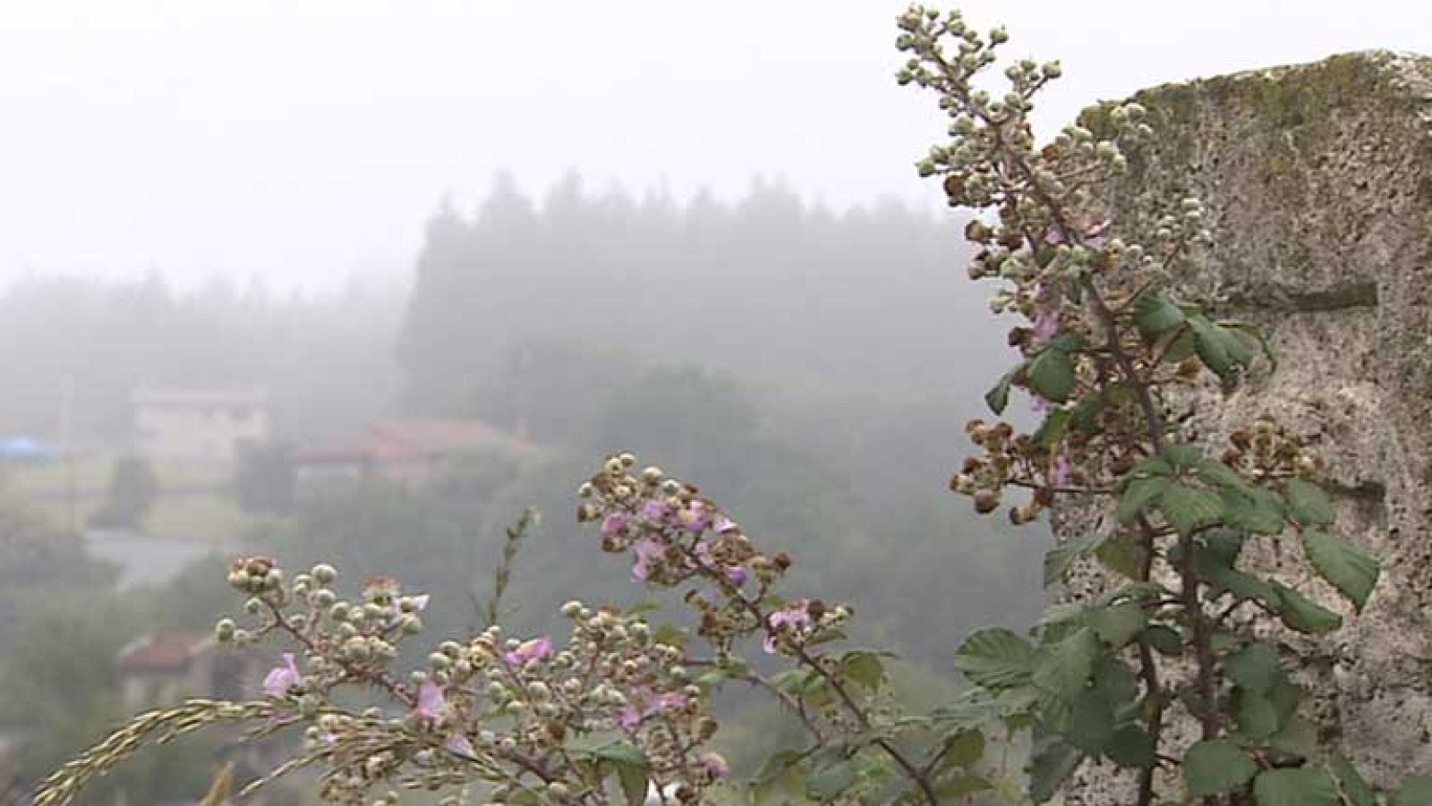 Chubascos localmente fuertes en el extremo norte peninsular