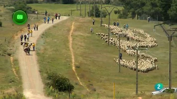 Agrosfera - Trashumantes