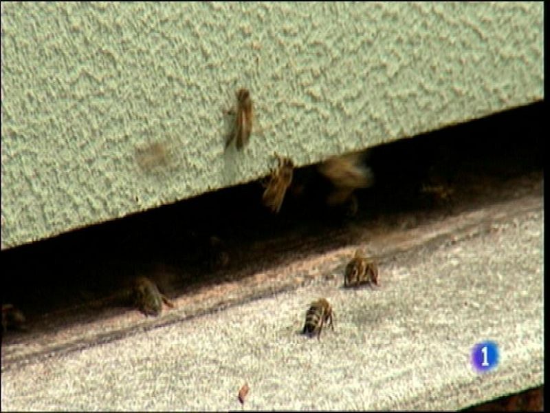 Panorama Regional 2 - 07/07/14 | Ver