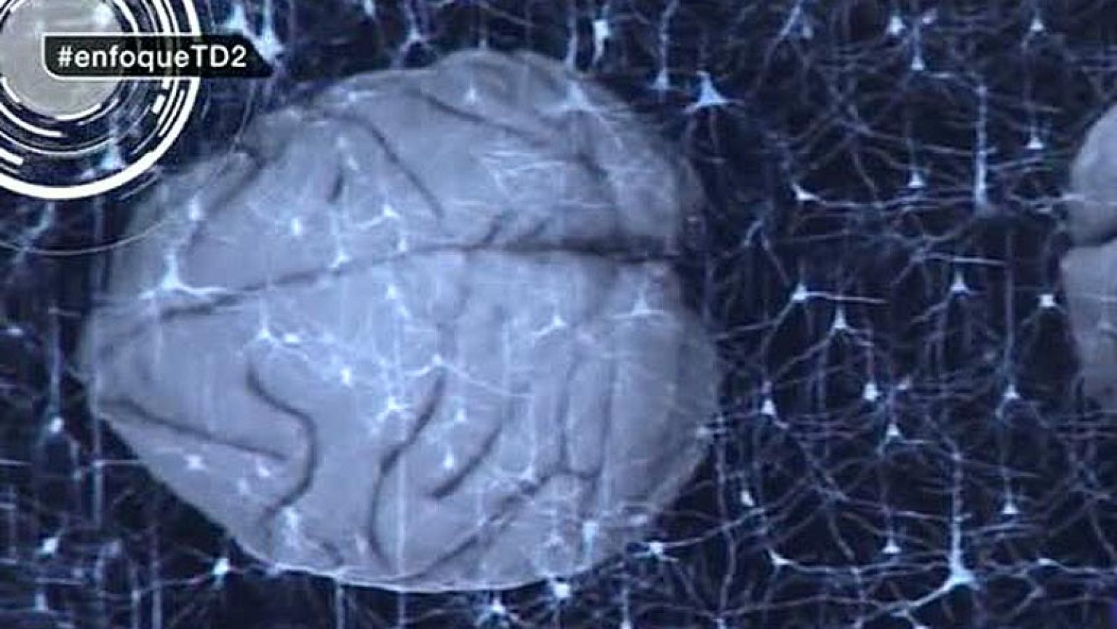 La informática al servicio de la biomedicina permite grandes avances | Ver