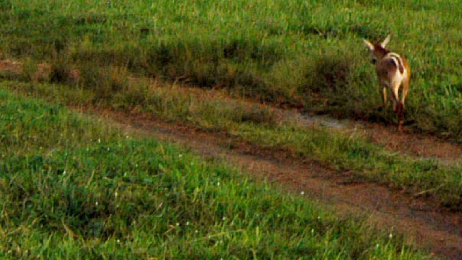 Viento fuerte en el litoral de Galicia, Valle del Ebro y Ampurdán