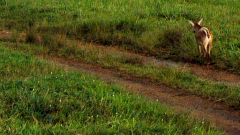 Viento fuerte en el litoral de Galicia, Valle del Ebro y Ampurdán