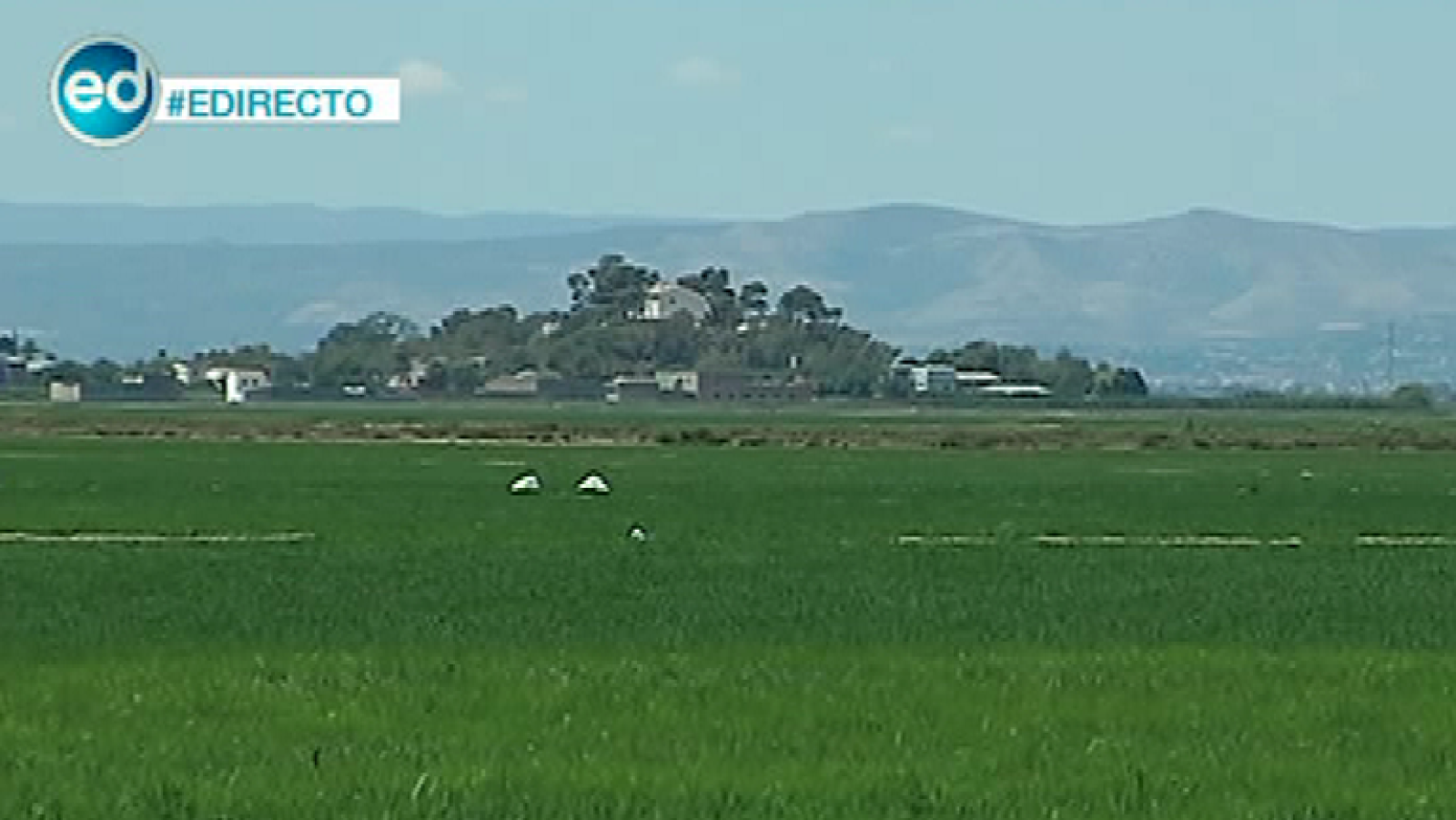 España Directo- Sueca (Valencia)