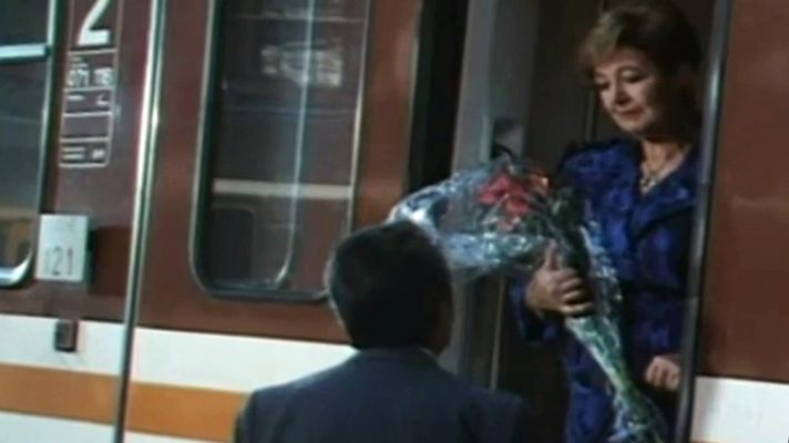 Gatos en el tejado - Palos y astillas