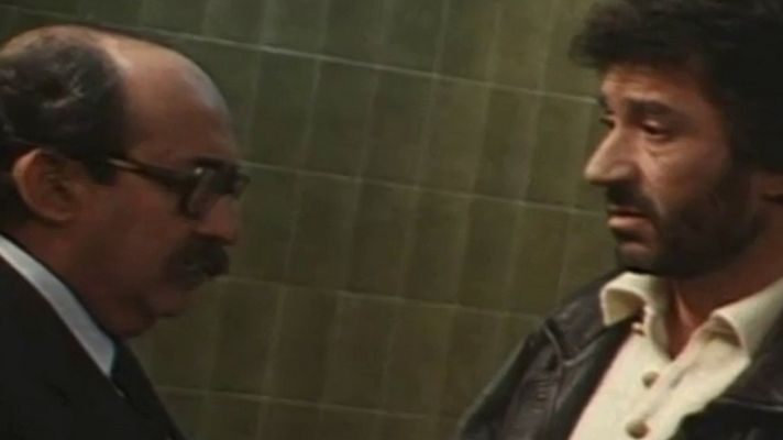 Gatos en el tejado - Cien años de perdón