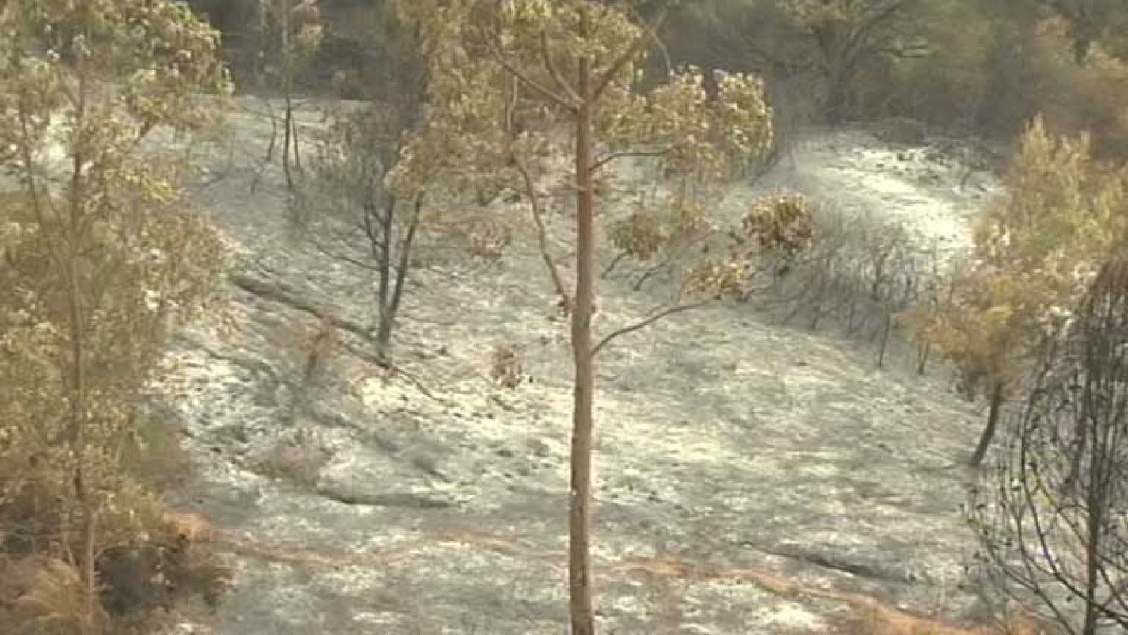 Noticias de Ceuta - 11/07/14