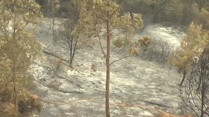 Noticias de Ceuta - Noticias de Ceuta - 11/07/14