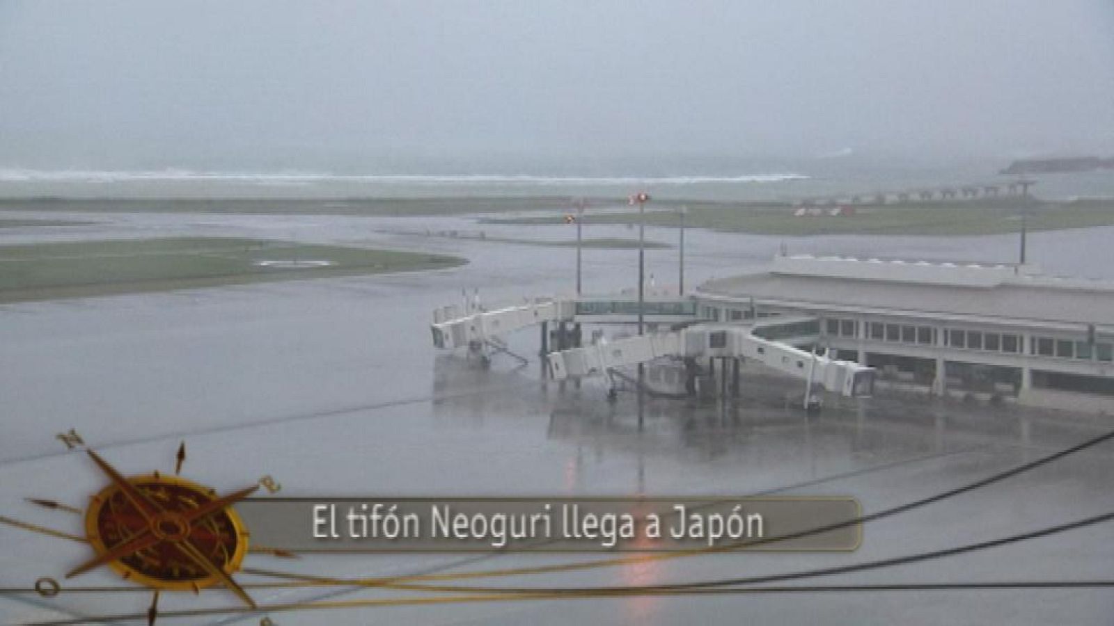 Teleplaneta -12/07/14 - Teleplaneta | Ver