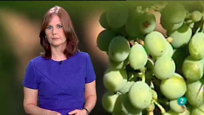 Agrosfera - Agrosfera - 12/07/14