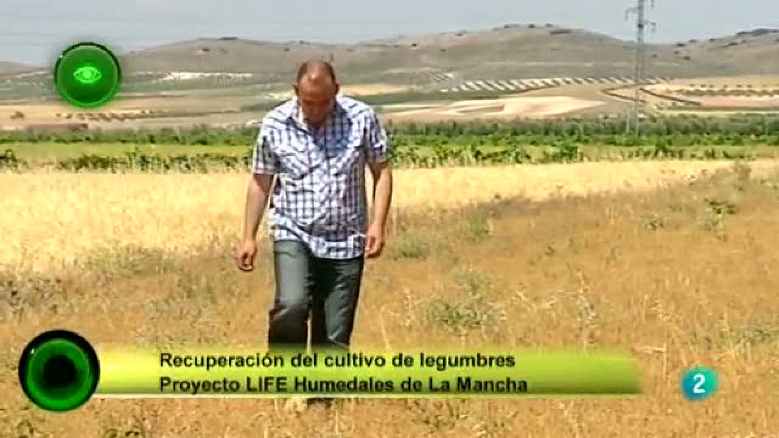 AGROSFERA - EN PRIMER PLANO - COSECHA DE LEGUMBRES