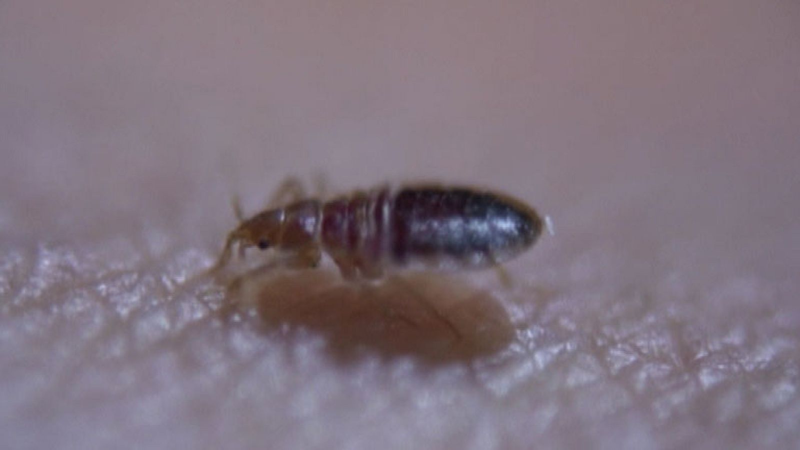 Informativo de Madrid 2 - 14/07/14