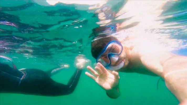 Capitán Q - Navegando con los atunes
