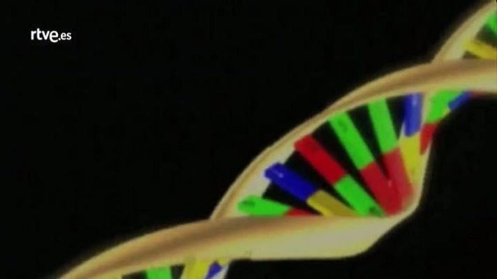 Lab24 - Lab24- Programa 10 - avance