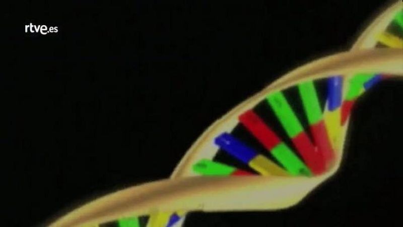 Lab24- Programa 10 - avance