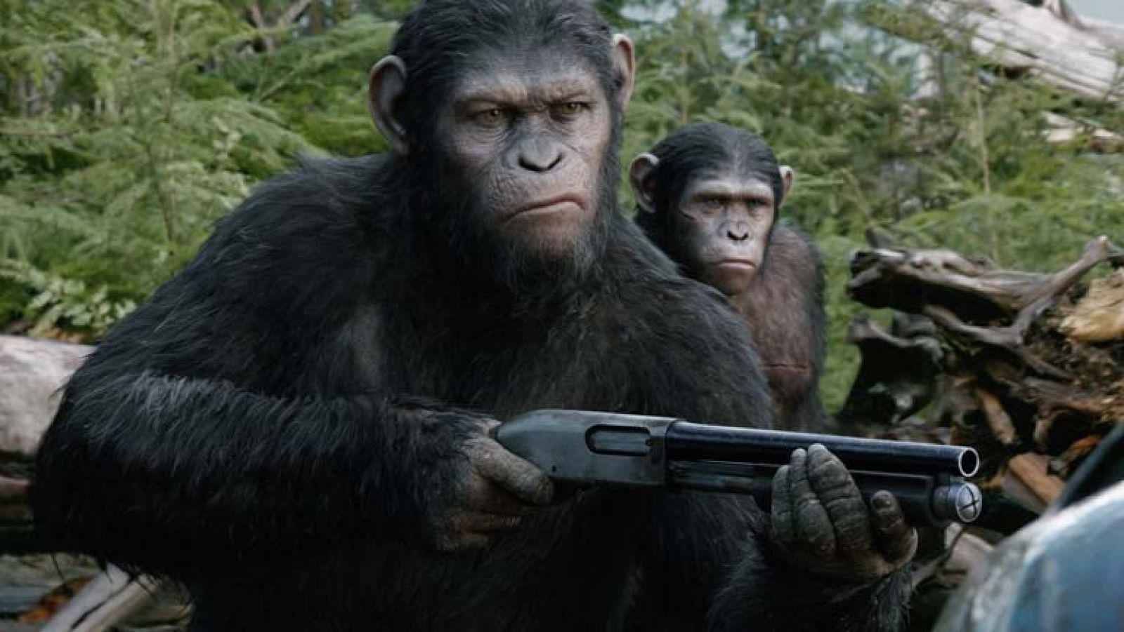 El protagonista de "El amanecer del planeta de los simios" la presenta en Madrid