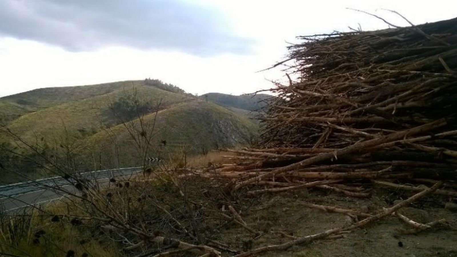 Alcublas regresa a la vida
