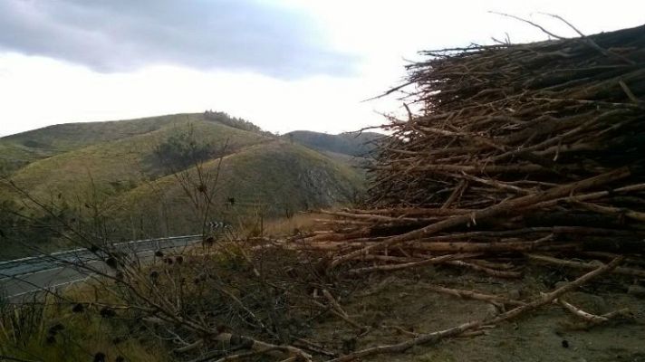 Aquí la Tierra - Alcublas regresa a la vida