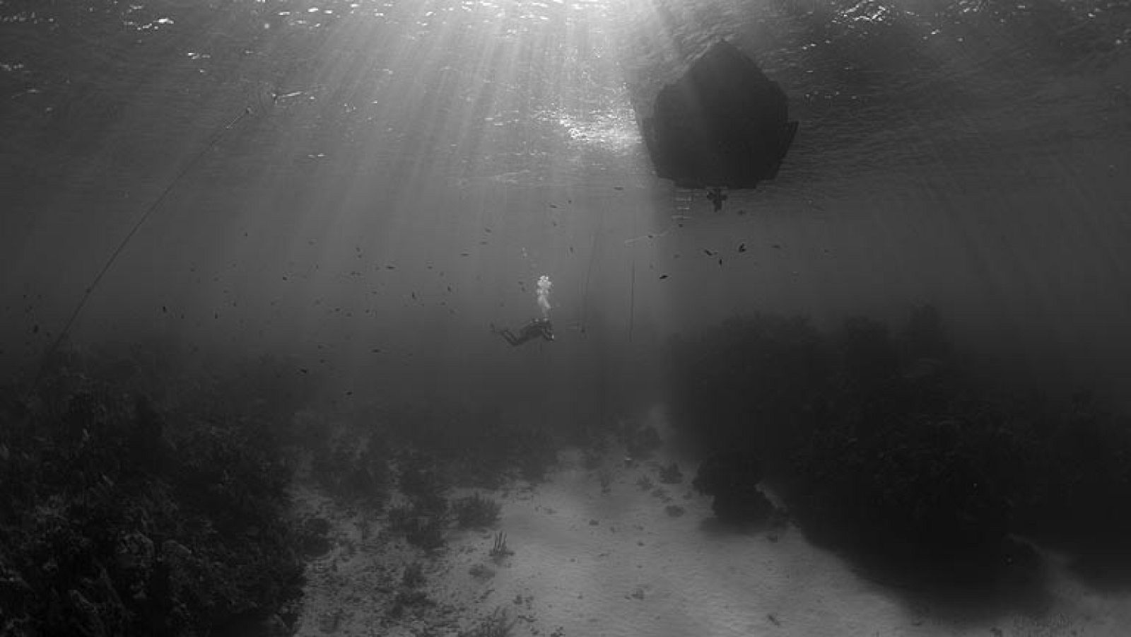 La protección de los tesoros de los fondos marinos | Ver