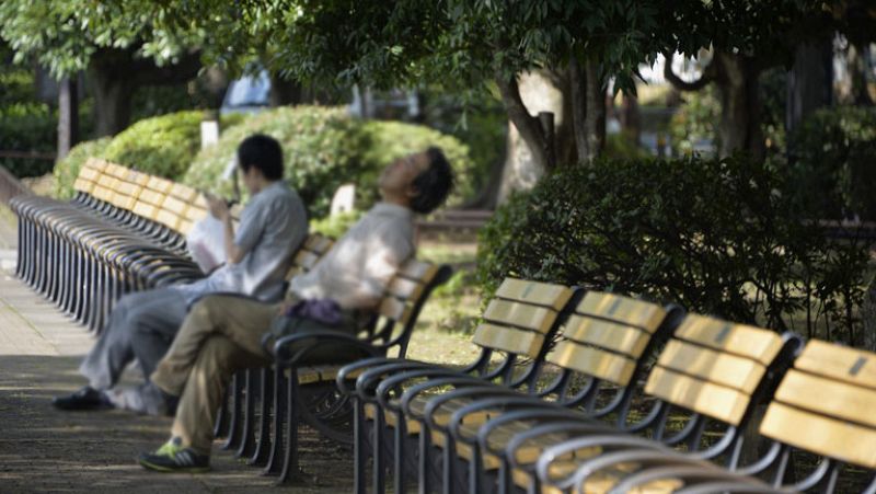 Doce comunidades en alerta por las altas temperaturas que siguen golpeando con fuerza