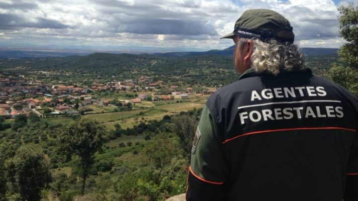 Aquí la Tierra - Emilio, los ojos del bosque