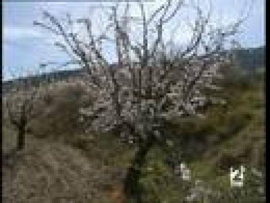  - Los pueblos- Moratalla