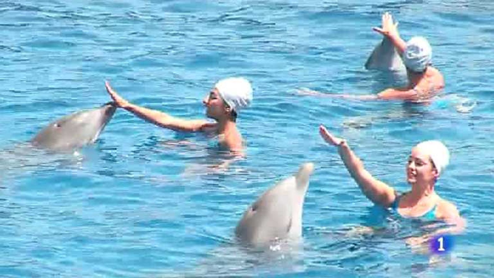 L'Informatiu - Comunitat Valenciana 2 - 18/07/14 - Ver ahora