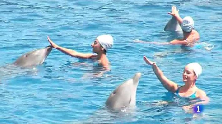 L'informatiu - Comunitat Valenciana - L'Informatiu - Comunitat Valenciana 2 - 18/07/14