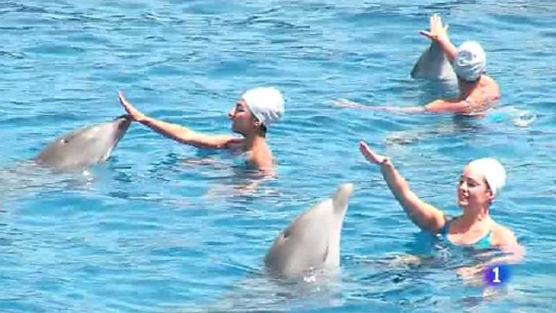 L'Informatiu - Comunitat Valenciana 2 - 18/07/14 - Ver ahora