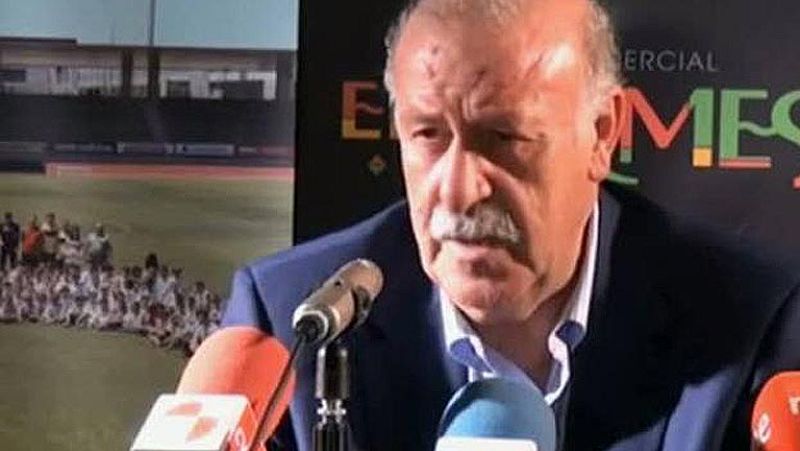 Tras el fiasco del Mundial de Brasil, la selección española se enfrenta ante el reto de resurgir de sus cenizas. Del Bosque, confirmado en su puesto, será el encargado de dirigir esta nueva etapa de la Roja.
