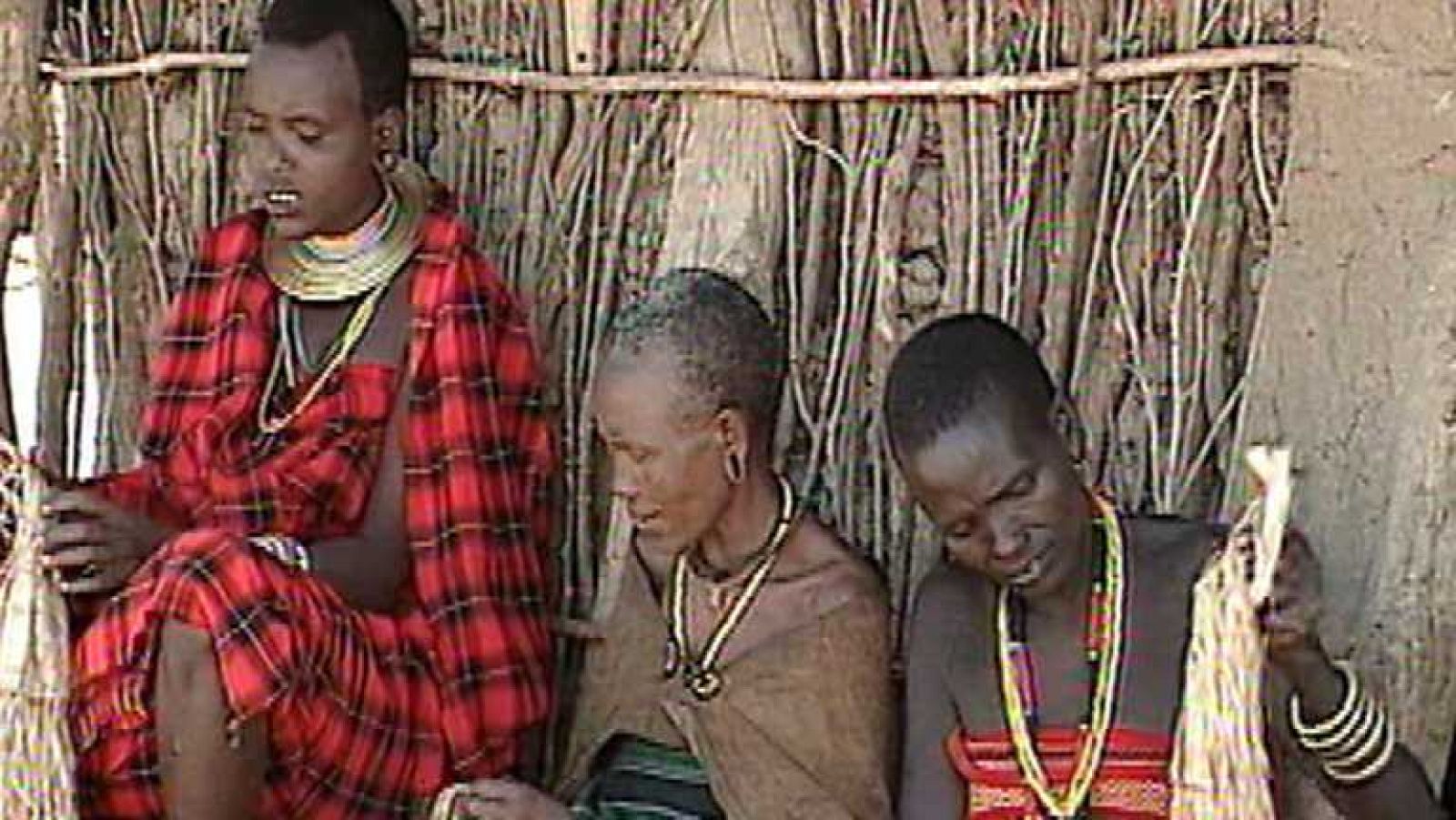 Otros pueblos - Animalia: Eyasi, búfalos y vacas (Tanzania) - ver ahora