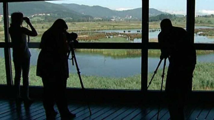 Zoom Tendencias - Urdaibai (País Vasco)