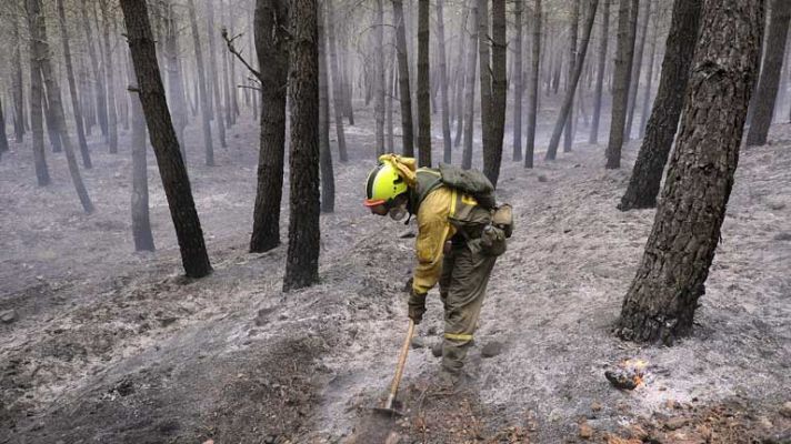 Telediario 1 - 1.183 incendios más que en el mismo periodo del año pasado