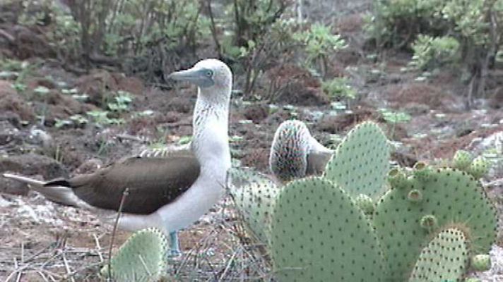 Otros pueblos - Galápagos del Ecuador