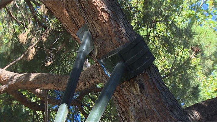 Informativo de Madrid - La Comunidad de Madrid en 4' - 22/07/14