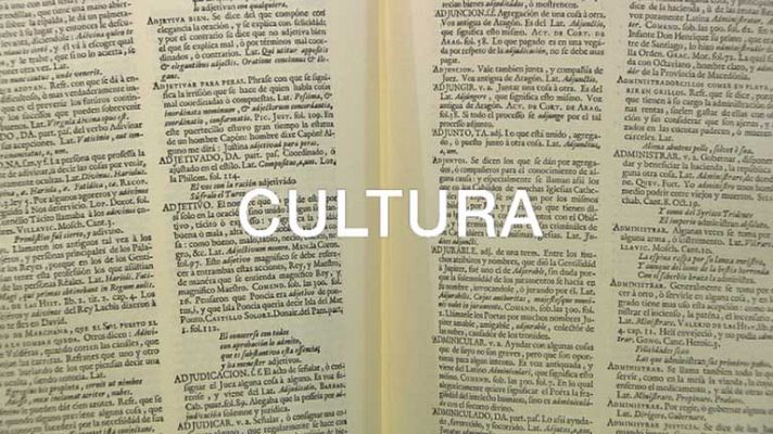 Telediario 1 - Consultas en la RAE